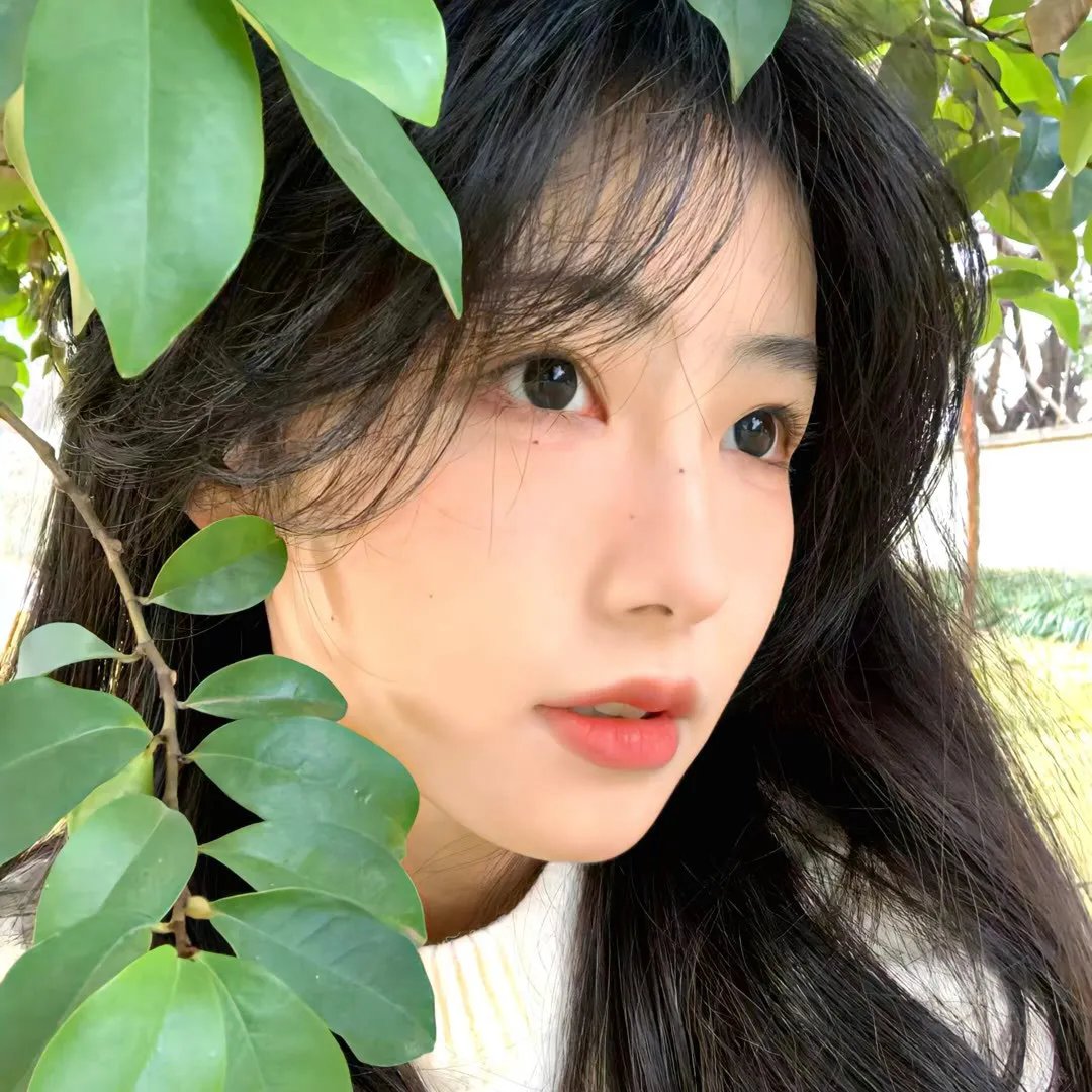隔墙花 在线观看